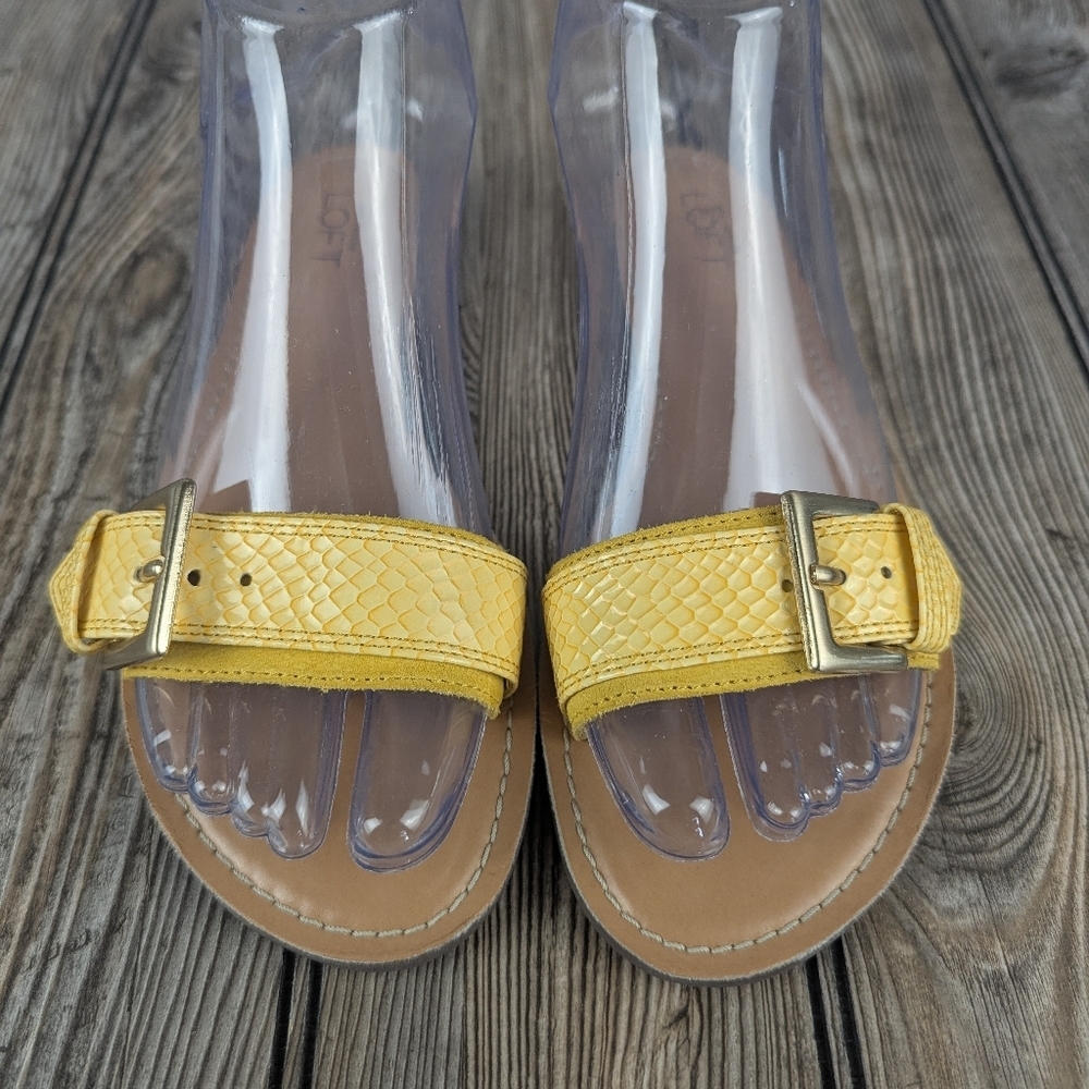 Ann Taylor Loft Yellow Slides Size 6